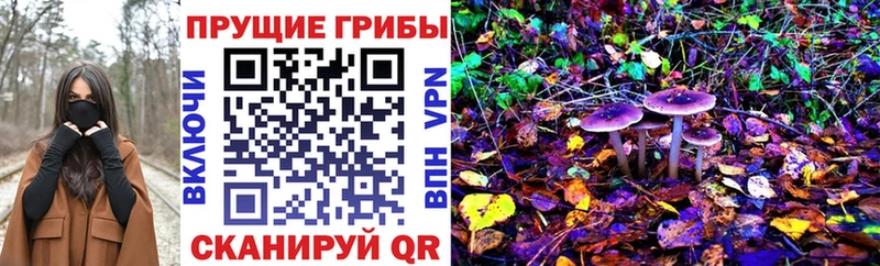 Псилоцибиновые грибы мицелий  Билибино 